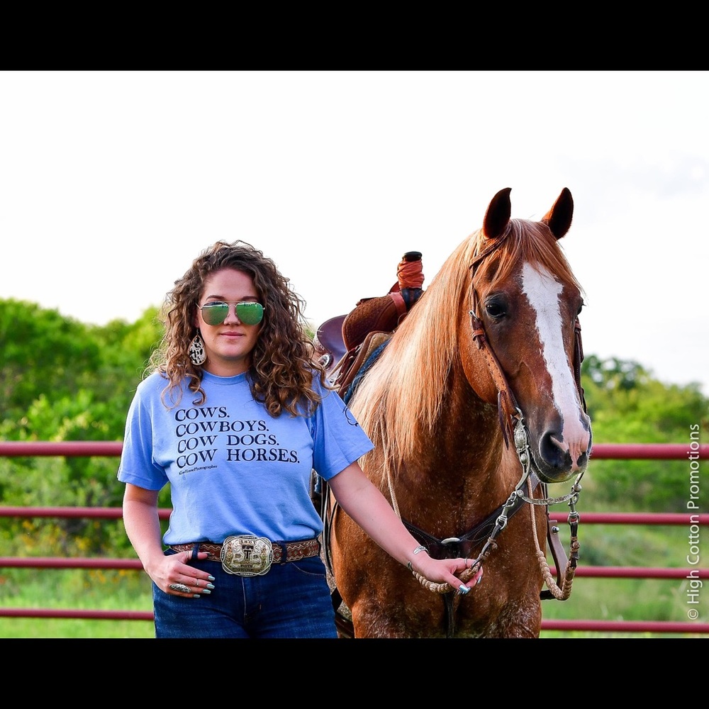 Cows, cow horses, cowboys T-shirt